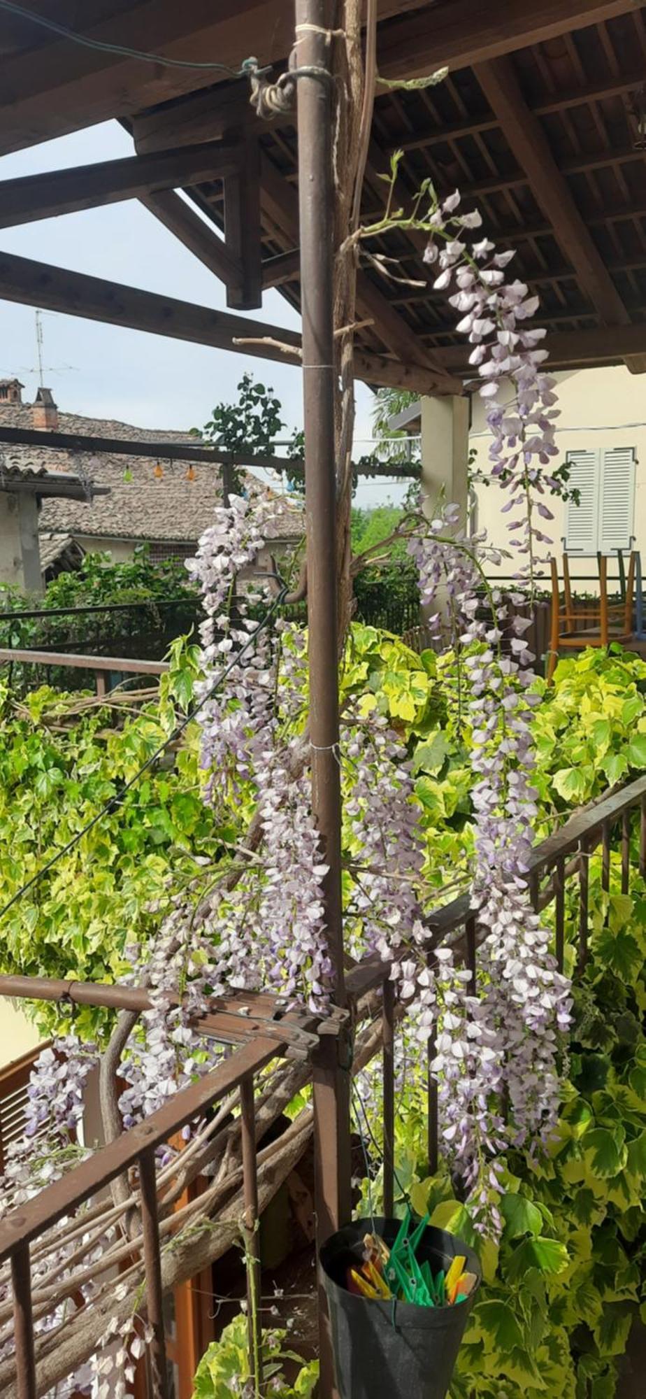 Il Giardino Del Gallo Cherasco Exterior photo